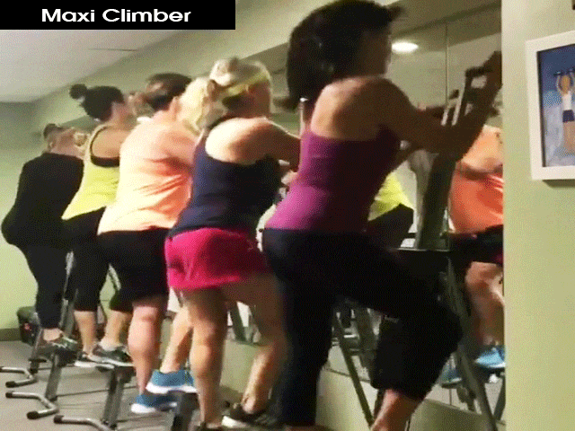 Vertical Climbing/Step Machine - Resistance Trainer