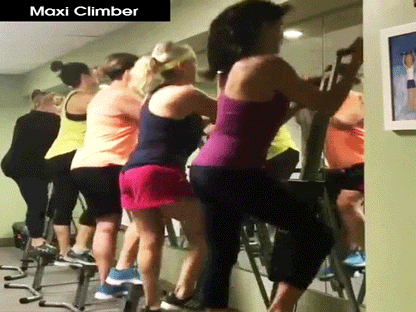 Vertical Climbing/Step Machine - Resistance Trainer