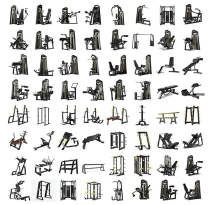 Multi-Workout Home Gym