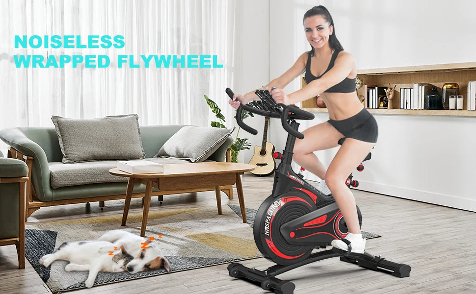 Flywheel Bicycle with Screen & Speakers