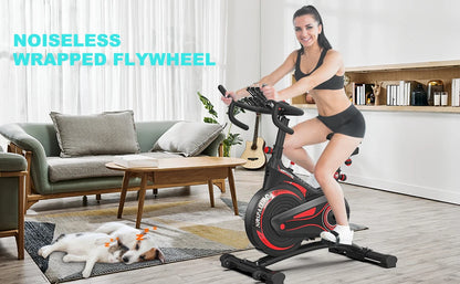 Flywheel Bicycle with Screen & Speakers